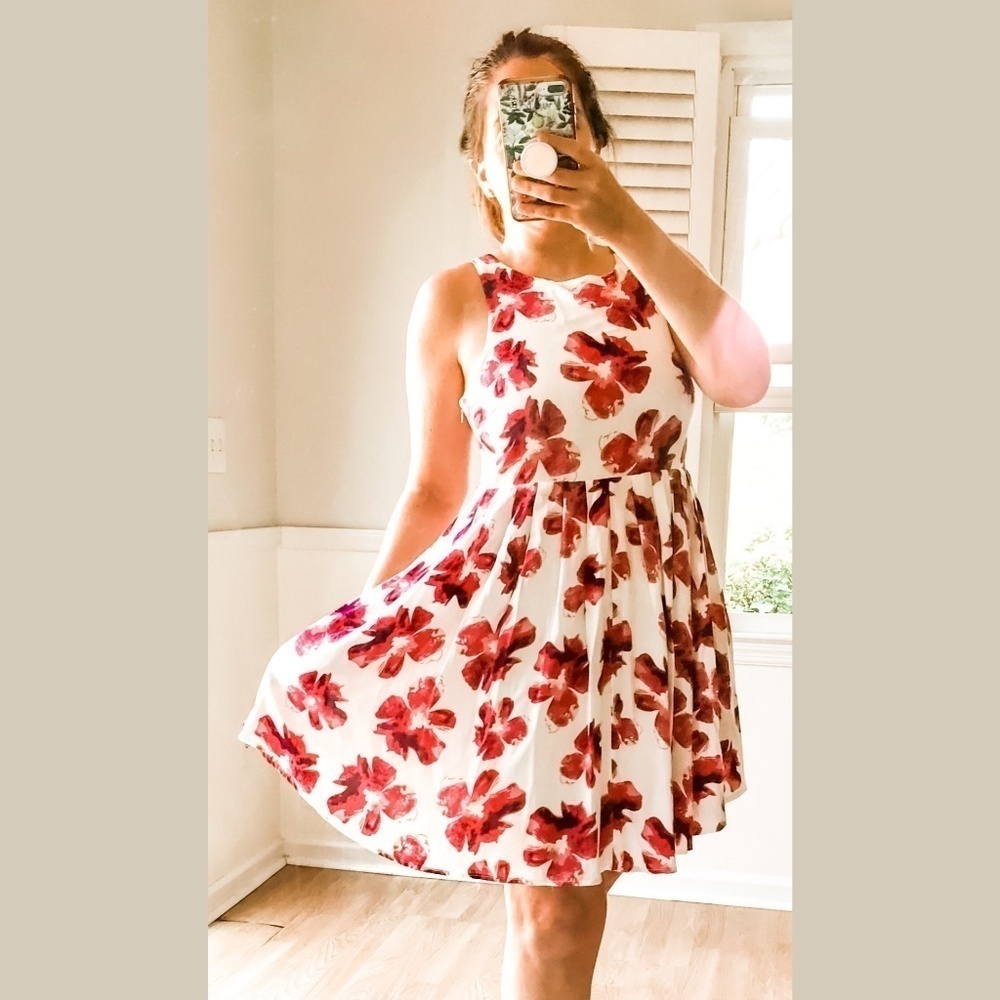 Anthropologie Entro Floral Fit and Flare White and Pink Dress Small